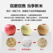 惠寻 京东自有品牌 22年当季新米 长粒香大米1kg/2斤 当季新米 新鲜现磨 东北大米 长粒香米