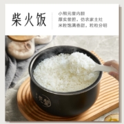 小熊（Bear）电饭煲 电饭锅迷你家用小容量一键快煮饭多功能预约定时配蒸笼元釜内胆3L蒸饭器 DFB-C30D1