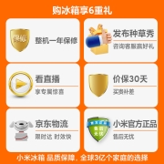小米米家610L对开门大容量家用冰箱双开门 一级能效风冷无霜墨羽岩面板颜值出众银离子除菌 BCD-610WMSA