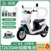 LUYUAN 绿源 MEP-欧丰 电动摩托车 LY1200DT-19B