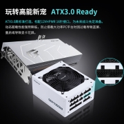 鑫谷（Segotep）GM1000W金牌全模组冰山版白电源（ATX3.0/原生PCIE5.0/全电压5年质保台式电脑游戏主机电源）