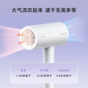 飞科（FLYCO） 电吹风机便携负离子家用宿舍学生大功率深度养发吹风筒速干可折叠送女友 FH6276官方标配【润滑顺发】简约白
