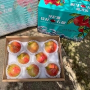 河南突尼斯软籽石榴 品质中果(单果约200-300g) 2.5斤(拍2件合发一箱)