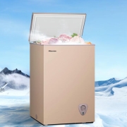 海信 (Hisense)小冰柜家用冷冻100升 迷你单温冷柜一级能效减霜 BD/BC-100NUD家庭母乳保鲜柜