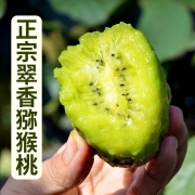 肴池陕西周至晚采翠香猕猴桃特级奇异果现摘现发纯甜不酸 翠香24枚装大果单果85-110克