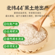 米小芽 宝宝儿童胚芽米谷物米营养大米粥 胚芽米450g*4盒
