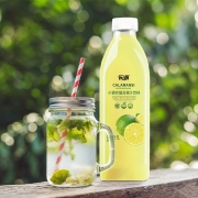 乐源 小青柠汁柠檬味饮料 1000ML 大瓶装