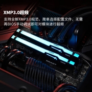 金士顿 (Kingston) FURY 16GB(8G×2)套装 DDR5 5200 台式机内存条 Beast野兽系列 RGB灯条 骇客神条