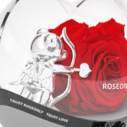 ROSEONLY（诺誓）永生花玫瑰丘比特熊不倒翁心形礼盒生日送女朋友结婚纪念日情人节礼物 丘比特熊心形不倒翁