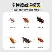 抖音神器蟑螂屋小黑帽蟑螂药蟑螂盒小屋小黑屋杀蟑饵剂家用强力灭蟑螂除小强恢恢蟑螂胶饵 小黑帽12枚/盒【1盒装】