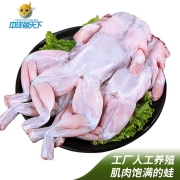 中洋鱼天下 牛蛙 净重600g 3-4只装 四去免洗 国产生鲜 健康轻食 海鲜水产 生态养殖