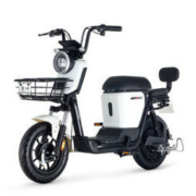 LUYUAN 绿源 ZFA 蜜豆 电动自行车 TDT2020Z