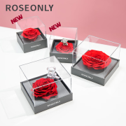 ROSEONLY诺誓永生花经典系列钟情丘比特熊礼盒方形生日送女朋友结婚情人节礼物 钟情-丘比特熊