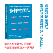 《多样性团队》