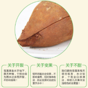 果仙享 云南精选天山雪莲果大果 新鲜水果 4.5斤装