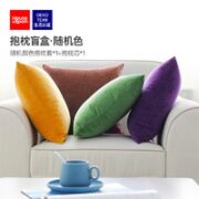 house&room 天鹅绒抱枕  抱枕盲盒_隐藏色系 45*45cm