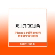 31日20点开售，限时抢力度最大-双11开门红加购