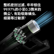 戴森(Dyson) V10 Fluffy Extra手持无线吸尘器 除螨 宠物 家庭适用