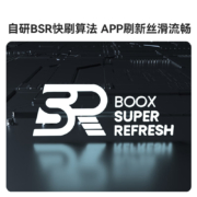 文石BOOX Tab10 电子书阅读器 墨水屏电纸书电子纸