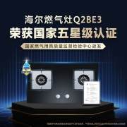 海尔（Haier）燃气灶双灶 天然气灶 家用双灶具 5.2KW大火力 一级能效 瞬燃点火熄火保护煤气灶双灶Q2BE3(天)