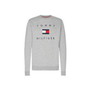 TOMMY HILFIGER 汤米·希尔费格 男士休闲卫衣 MW0MW14204PG5