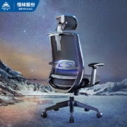 恒林 京东× 国民家居星空椅 人体工学椅可躺电脑椅电竞椅 星空经典款+升降扶手+无硌脚+衣架