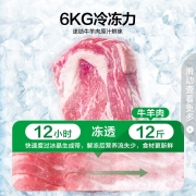容声（Ronshen） 100升小型迷你冰柜家用冷藏冷冻转换单温冷柜 一级能效 顶开门母婴母乳小冰箱 BD/BC-100MB
