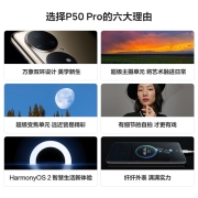 华为/HUAWEI P50 Pro 原色双影像单元 万象双环设计 基于鸿蒙操作系统 支持66W快充 8GB+128GB雪域白华为手机