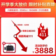 联想（Lenovo） 小新air14 锐龙R5六核超轻薄笔记本电脑 14英寸学生本商务办公游戏轻薄本 标配【R5-5500U 16G内存 512G固态】