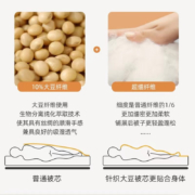 lazzzy 水洗大豆被 春秋被加厚秋冬被 双人被芯厚被子大豆纤维被丝绵被宿舍学生被柔软亲肤保暖舒适 冬被150*200cm-约5斤