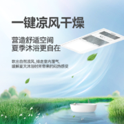松下（Panasonic）FV-RB20VL1 浴霸风暖排气扇照明一体通用吊顶式浴室换气暖风机多功能暖浴快 珍珠白