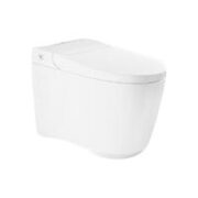 GROHE 高仪 39932SH0 艾吉娜一体座便器