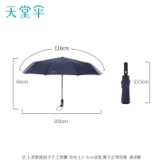 天堂伞 晴雨伞10骨加固一键开收易甩干简约全自动雨伞男女 藏青 58CM*10骨