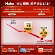 海尔（Haier）电热水器50升扁桶家用一级能效储水式超薄双胆变频速热洗智能APP预约PAD5 50升【3-4人】