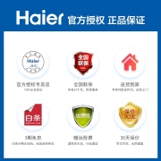 Haier海尔冰箱家用直冷风冷无霜DEO净味保鲜小冰箱双开门迷你小型电冰箱 118升节能直冷118TMPA