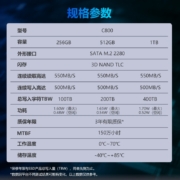 大华（Dahua）256GB SSD固态硬盘 M.2(SATA总线) C800系列  笔记本台式机固态硬盘