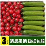 澳农卡小黄瓜圣女果3斤组合装水果小黄瓜新鲜圣女果番茄