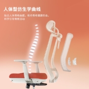 恒林 玄星X电脑椅可躺办公椅人体工学舒适久坐托腰升降转椅家用 斜阳朱砂橙【普通托盘】-拉杆调节