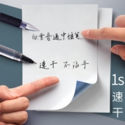 白雪（snowhite） 直液笔0.5mm中性笔学生速干签字笔水笔直液式走珠笔办公用品针管黑色T16 子弹型10支黑色 T15
