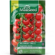 天猫U先：marseed 进口超甜爆浆番茄种子 多款可选