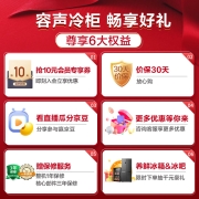 容声（Ronshen）146升匀冷家用立式冰柜 一级能效母乳冷冻柜抽屉式冷柜囤货小冰柜家用小型冰箱BD-146RS