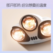 奥普（AUPU）浴霸 FB5007A 壁挂式灯暖型浴霸