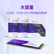 SOLIDIGM 512G SSD固态硬盘 M.2接口(NVMe协议 PCIe4.0x4)  P41 PLUS 系列