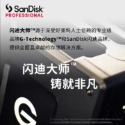 闪迪大师极客 12TB 企业级桌面移动硬盘 双盘位RAID磁盘阵列双雷电3接口适配MAC/WIN