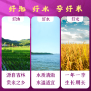 【双 11新米预付定金】十月稻田 香稻贡米5kg东北大米10斤 粳米