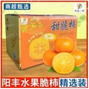 正宗巧克力脆柿子山西运城新鲜水果当季脆甜4.5斤8.5斤