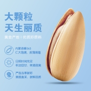 洽洽新品青柠味奶盐打手瓜子228g恰恰大颗粒脱皮葵花籽炒货零食