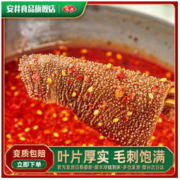 Anjoy 安井 冻品先生毛肚冷冻食材家庭装速食正宗牛百叶涮菜冒菜串串香