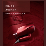 松下（Panasonic）吹护机 家用大功率 纳诺怡护发 恒温护发 炫动风嘴 EH-NA82