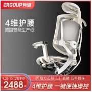 ERGOUP 有谱 致炫 靠背椅电竞椅办公椅椅子座椅脚踏网布电脑椅人体工学